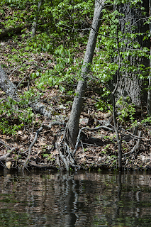 Reflections on Loch Lomond - Bella Vista, AR - a.d. elliott www.takethebackroads.com