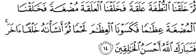 Kandungan Surah Al-Mu’minun Ayat 12–14