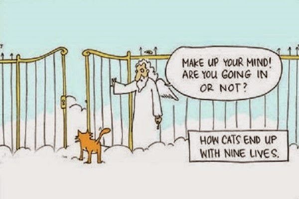 Oh, No! Mama's Off Her Meds, Again.: The Pearly Gates