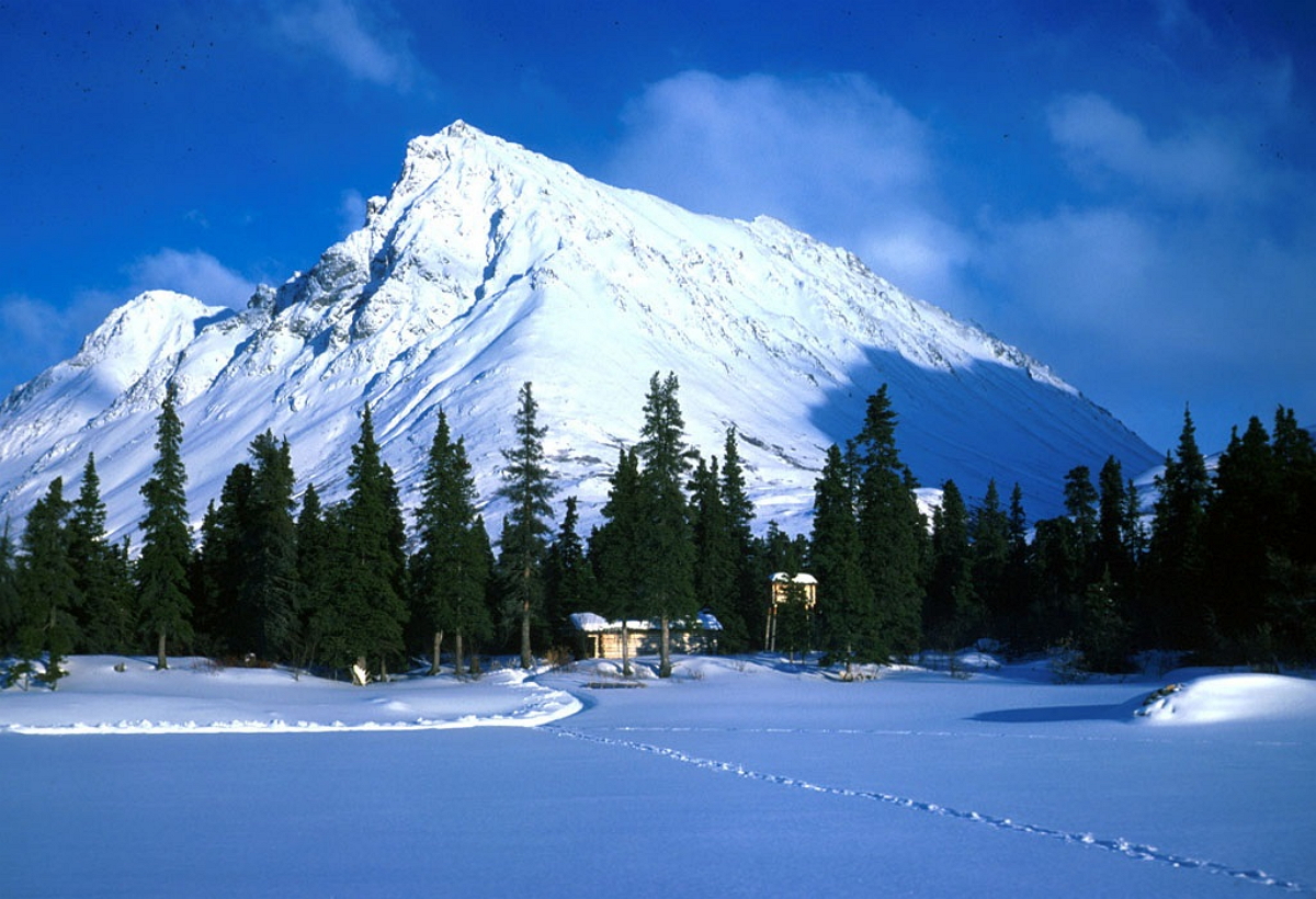 Северная америка аляска. Сайт аляска. Аляска анкоридж природа. Штат аляска джуно. Джуно аляска.