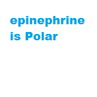 epinephrine is Polar epinephrine is Polar