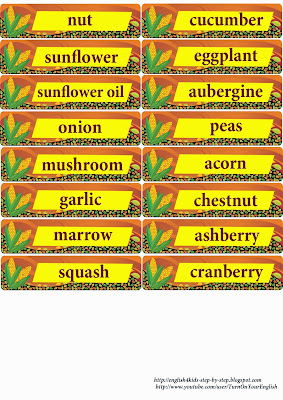 autumn English vocabulary flashcards