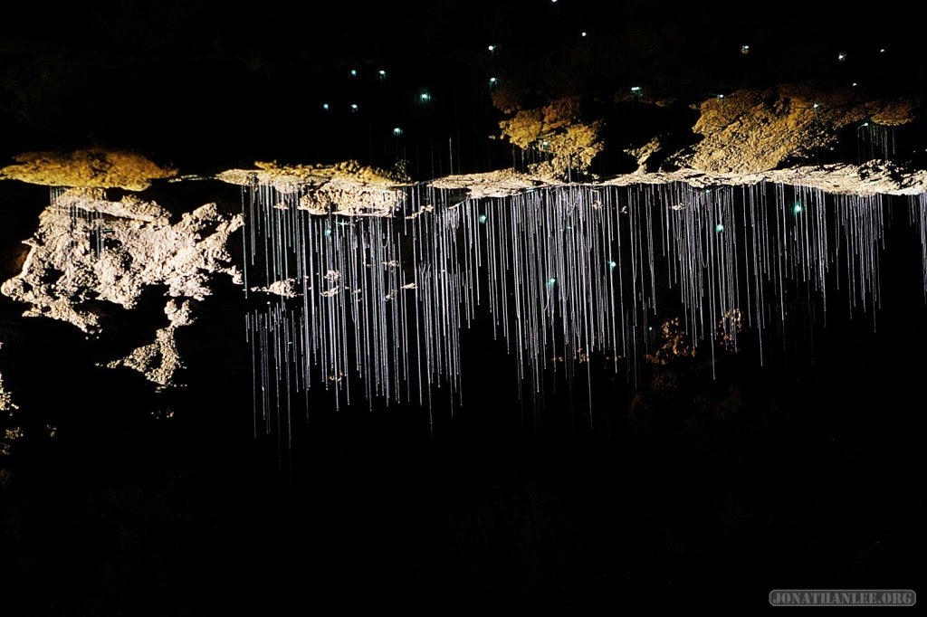 glow worms photography new zealand cave glow worms photography new zealand cave