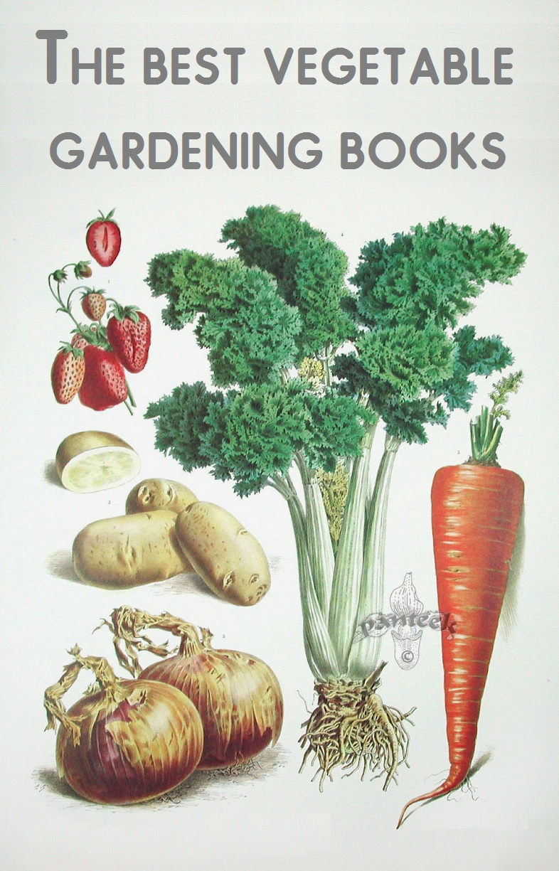 83  Backyard Vegetable Garden Books for Learn