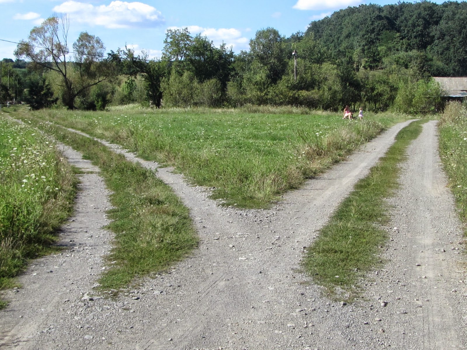 La foto che parla di Cristiano Bordoni Foto strade di campagna