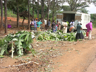 gathering place and smarcio banana near meru