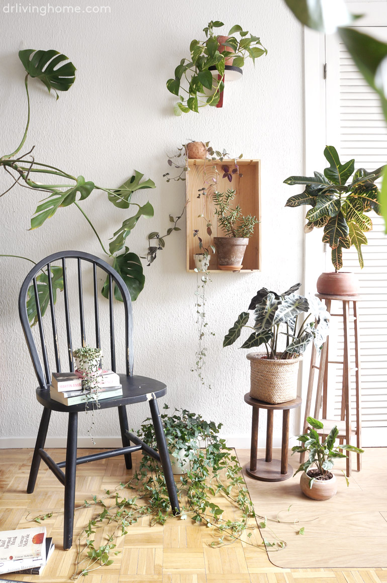 decorar rincon con plantas 1 plantas 3 estilismos 191 cu 225 l te gusta m 225 s blog decorar rincon con plantas 1 plantas 3 estilismos 191 cu 225 l te gusta m 225 s blog