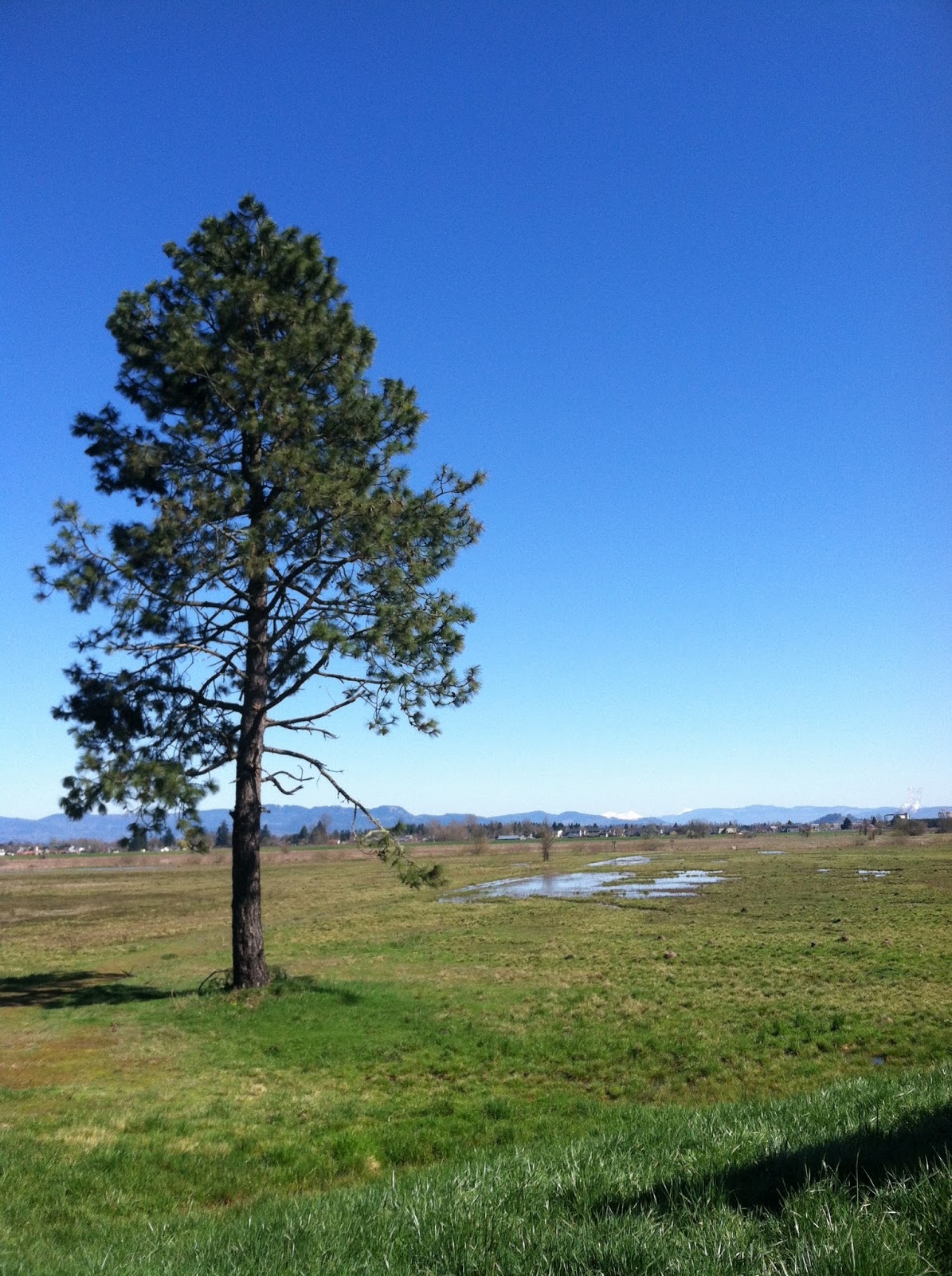 WREN Engage, Educate, Empower! November Wetland Wander at Meadowlark