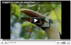Amazônia - Roberto Carlos