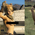 Topless Military Girl GTA5