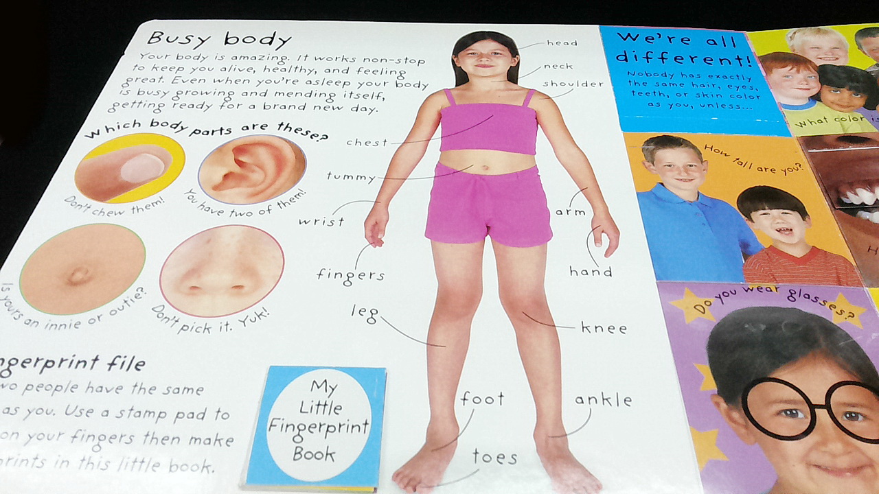 Kid Books Blog 375.My Big Busy Body Activity Book