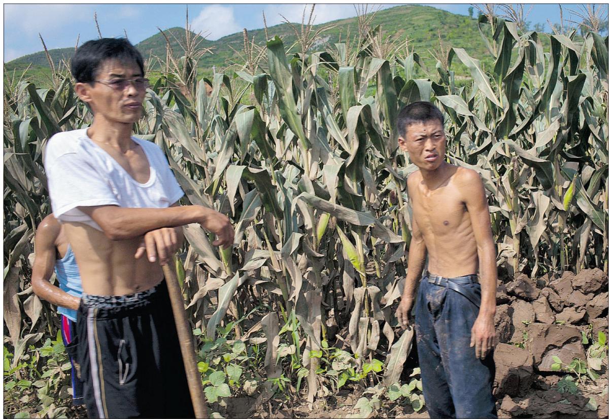 North Korea Natural Disasters North Korea Natural Disasters