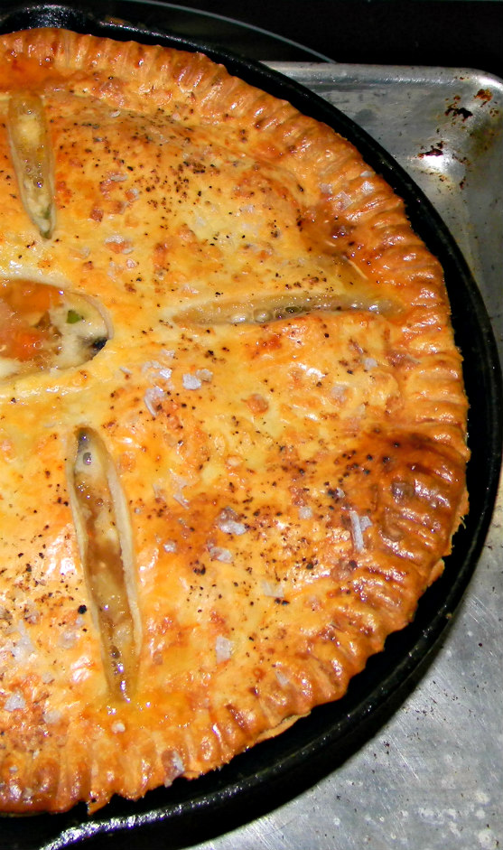 Wish Upon A Dish: Cast Iron Skillet Double Crust Chicken Pot Pie ♥ # ...
