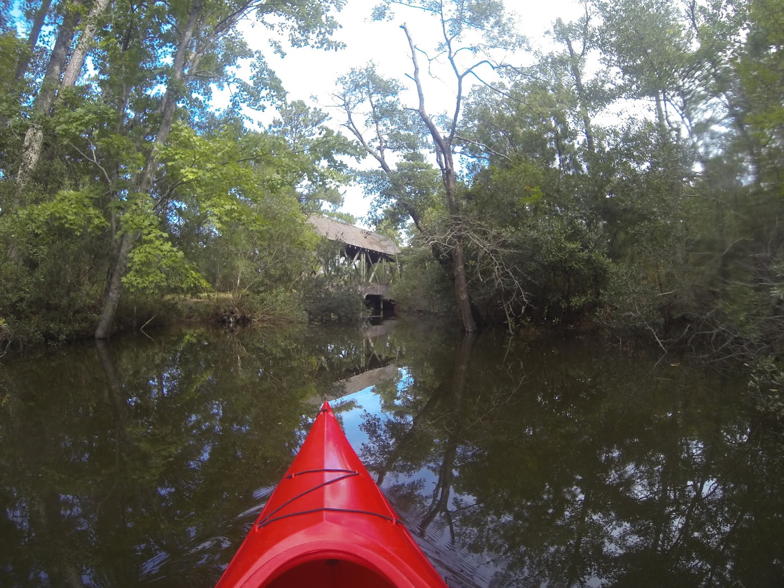 American Travel Journal Kayaking in Kitty Hawk Woods Coastal Reserve