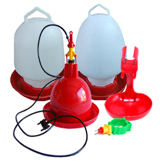 Perencanaan kebutuhan kandang dan peralatan kandang untuk Ayam broiler