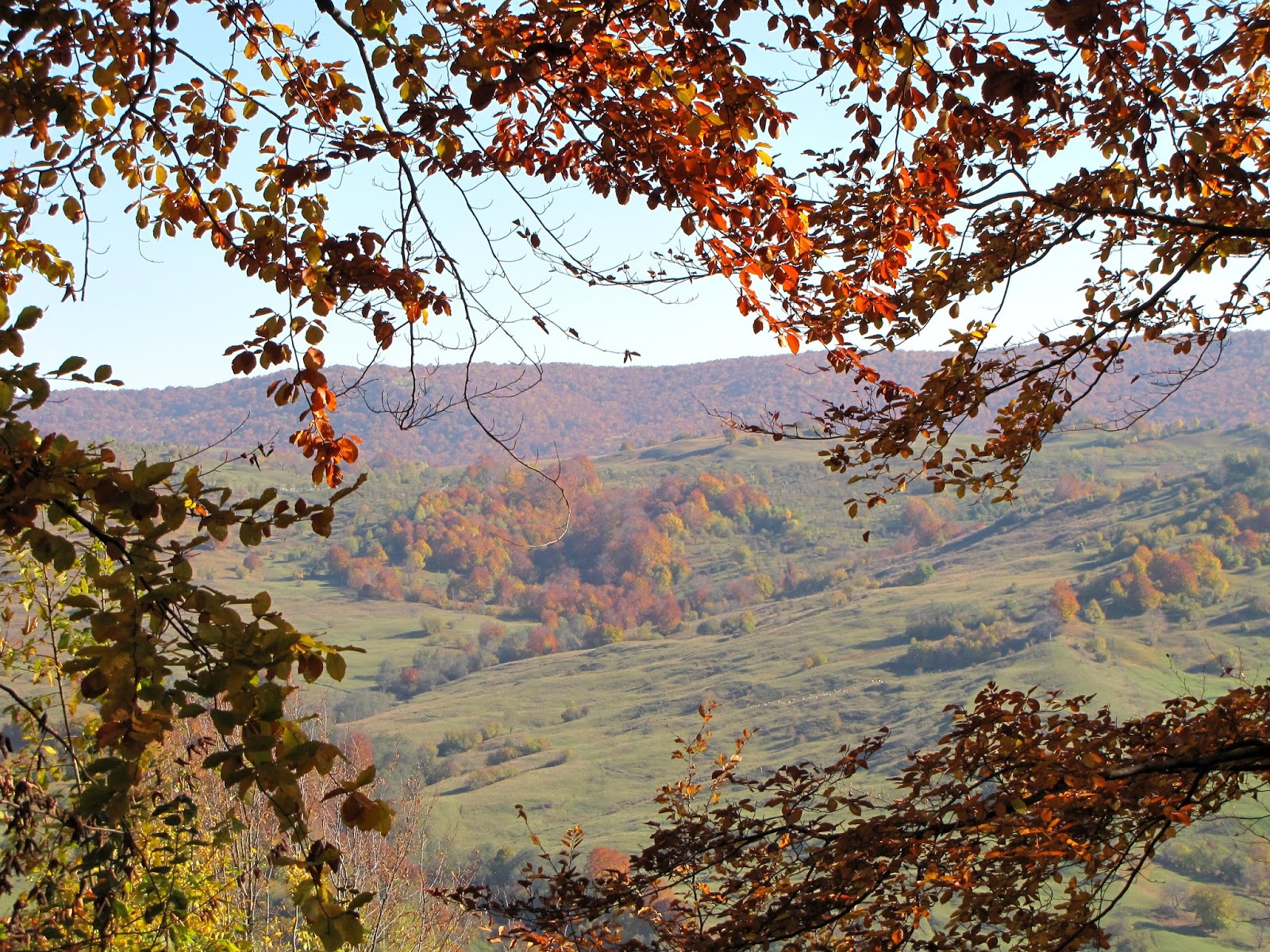 Hobby De Mamica Photo Responsabilitate Sociala Si Altele 