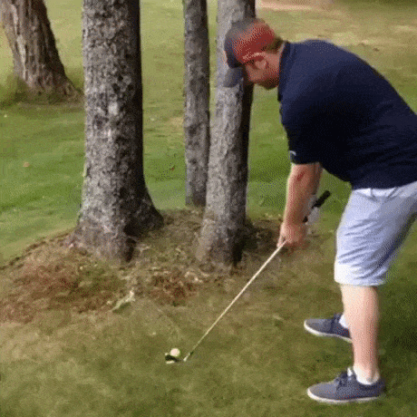 6.gif