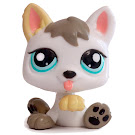 Littlest Pet Shop Petriplets Puppy (#1876) Pet