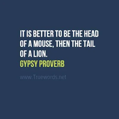 It is better to be the head of a mouse, then the tail of a lion