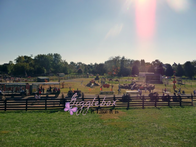 Fall time family fun at Pumpkin Village at Leesburg Animal Park in Leesburg VA, family fun in Northern Virginia, 