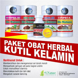 5 Jenis Obat Kutil Kelamin Herbal yang Bisa Anda Gunakan