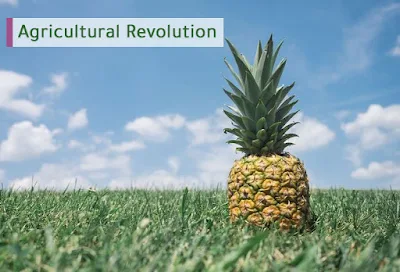 Agricultural Revolution ency wiki encywiki 2019