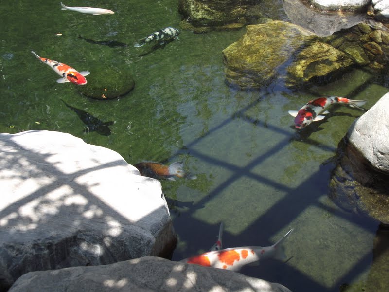 Gorgeous Planet: Free Tuesdays Balboa Park