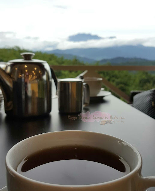 Sabah Tea  Kundasang, Ranau