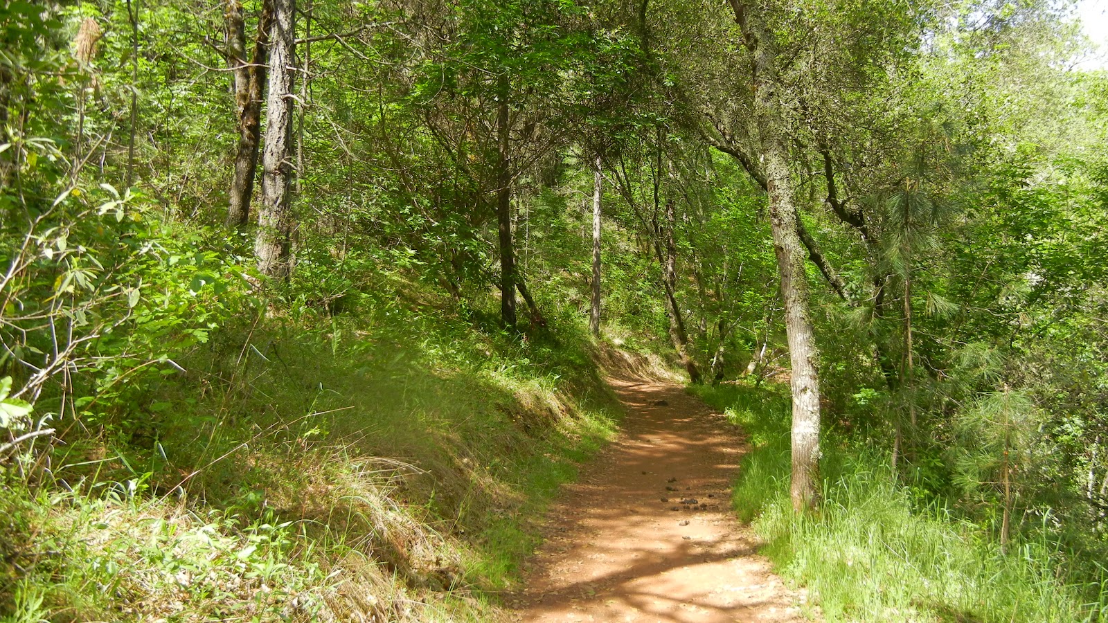 Peachy Hiker: Hidden Falls in Placer County, CA
