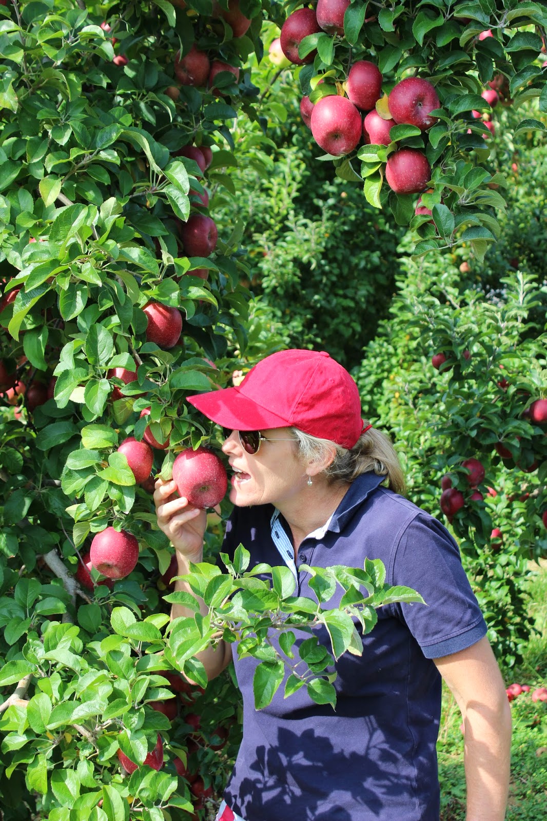 James 4 USA The National Apple Festival