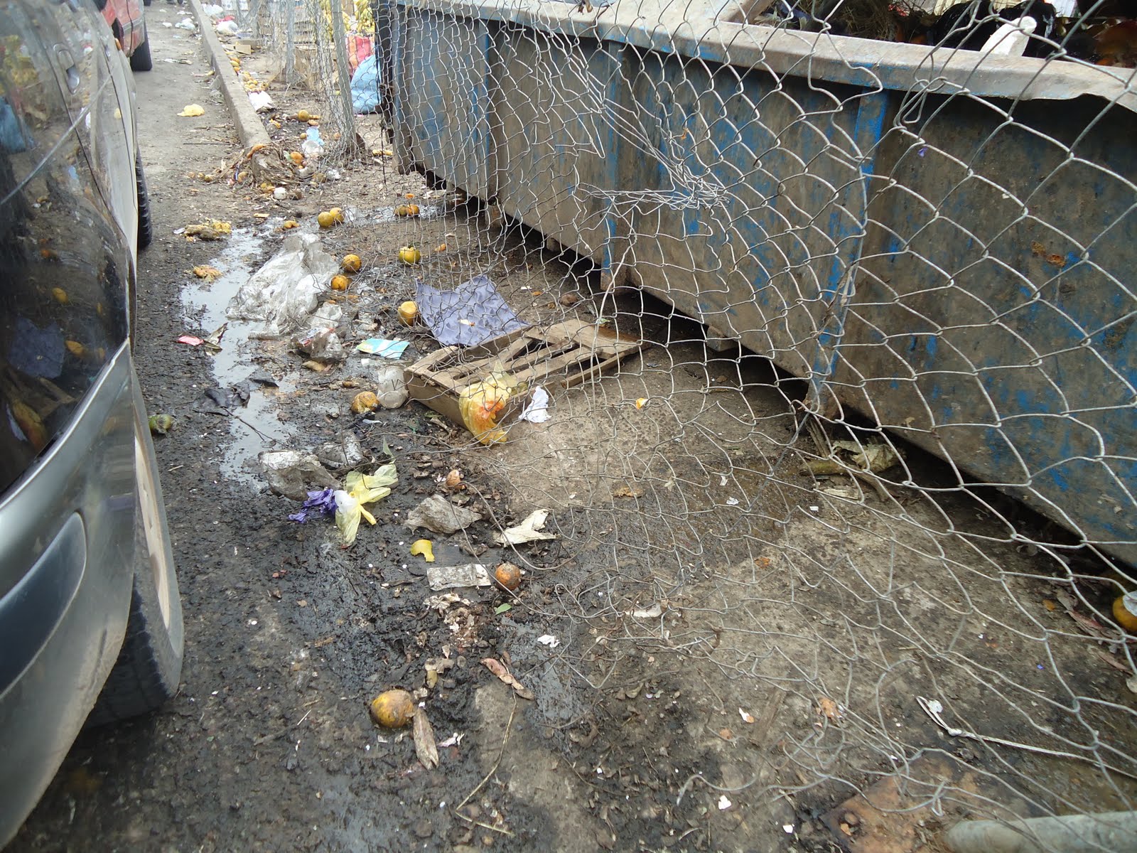 la basura en santa cruz: LA BASURA EN SANTA CRUZ