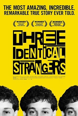 Três Estranhos Idênticos - Legendado via Torrent