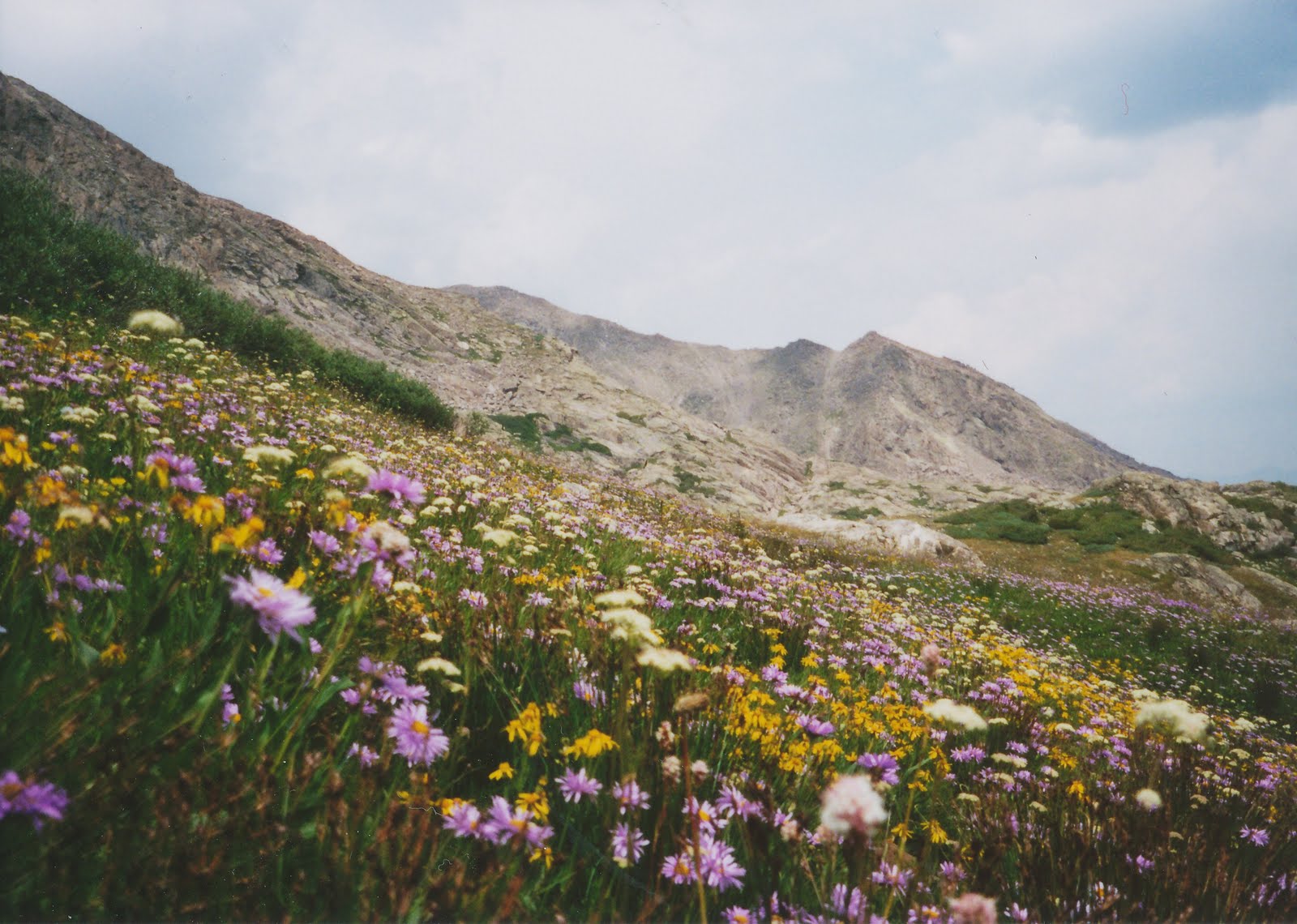 Wilderness Wanderings Holy CrossSeven Sisters Lakes (7/318/4/00)