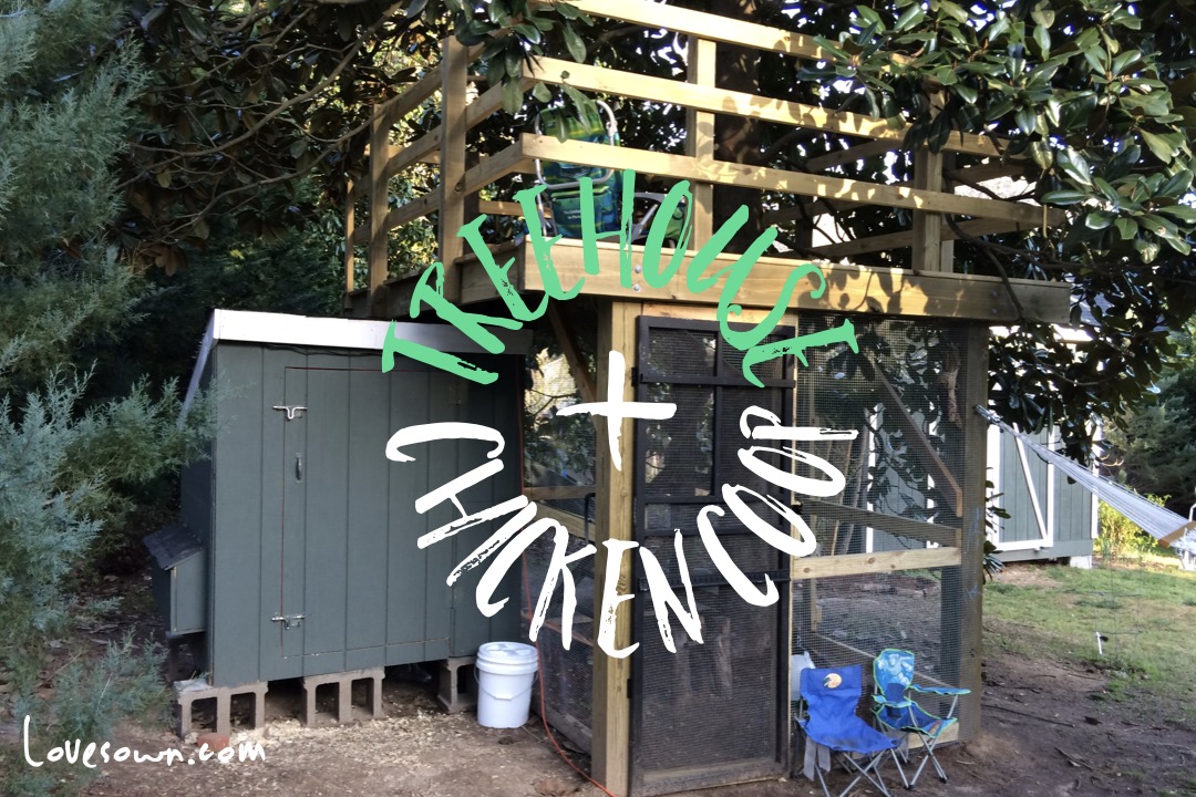 Treehouse Chicken Coop Love Sown