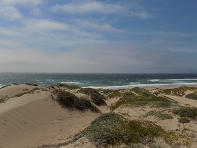 Trail Ends At The Pacific Ocean Trail Ends At The Pacific Ocean