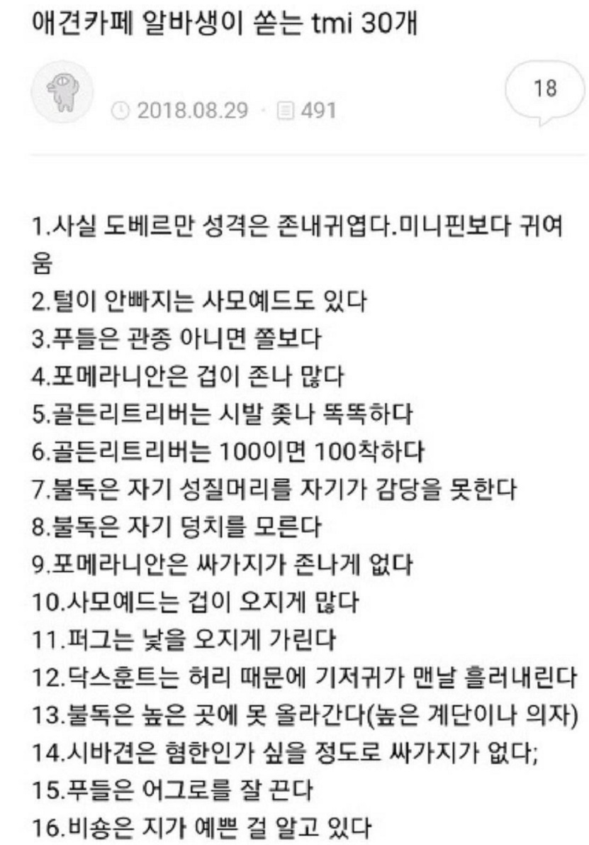 애견까페 알바생이 쓴 tmi 30