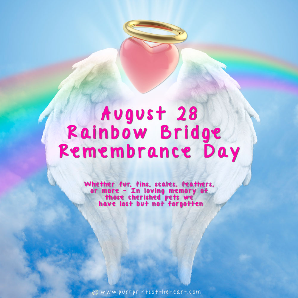 Rainbow Bridge Remembrance Day 2024 Dates Gerri Juanita