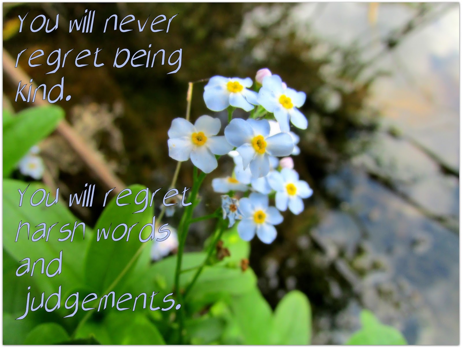 Homespun Sweet: Inspirational Quotes
