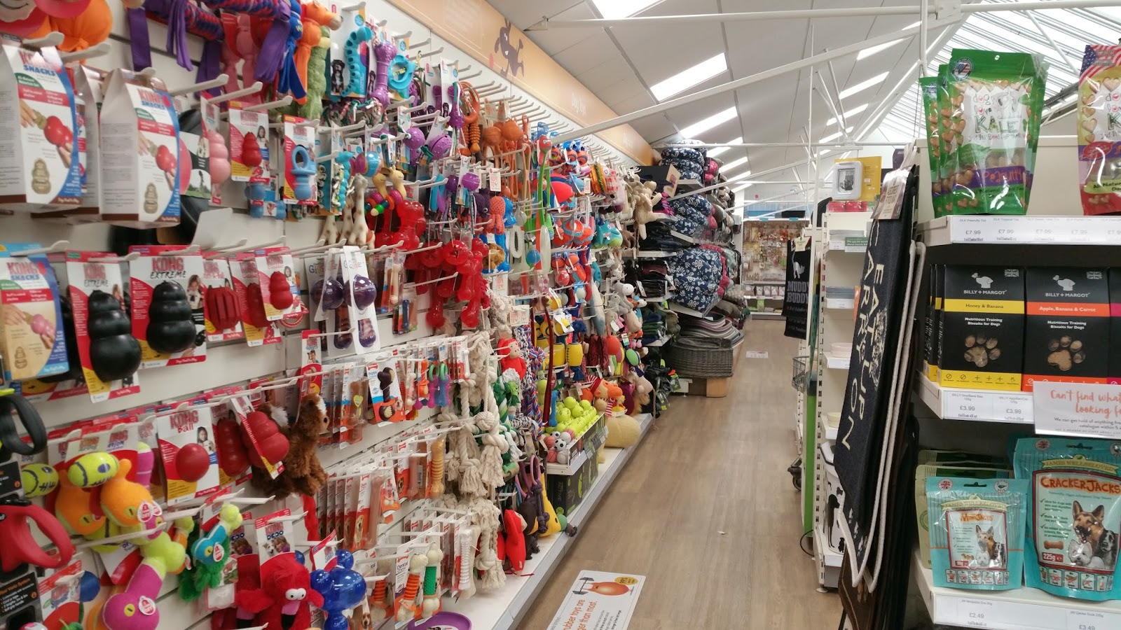 Pets Corner at Bridgemere Garden Centre Nantwich Cheshire Paws