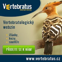 Vertebratus