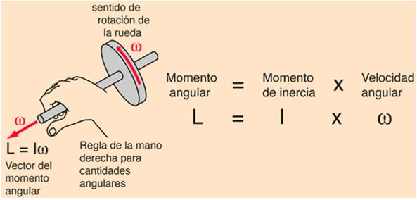 Momento Angular De Un Cuerpo Rigido
