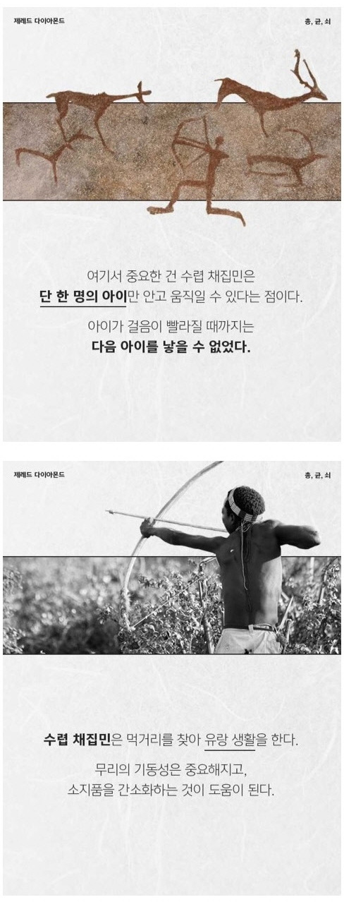 1_02.jpg