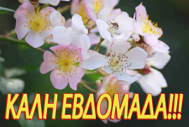 Αποτέλεσμα εικόνας για καλη εβδομαδα