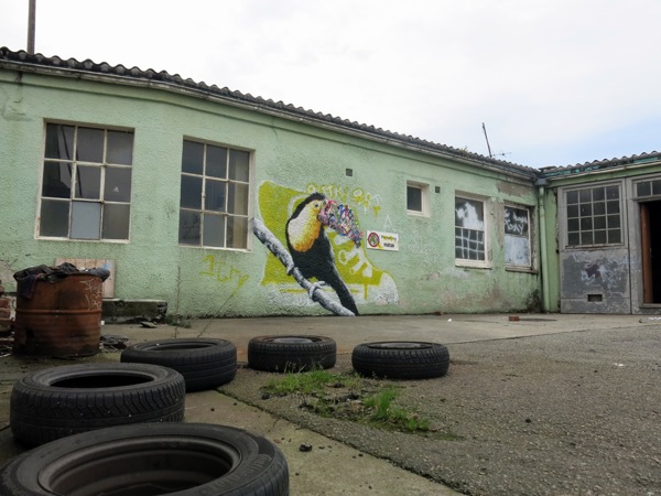 Street Art Murals By Martin Whatson In Stavanger Norway For Nuart Urban Art Festival. toucan