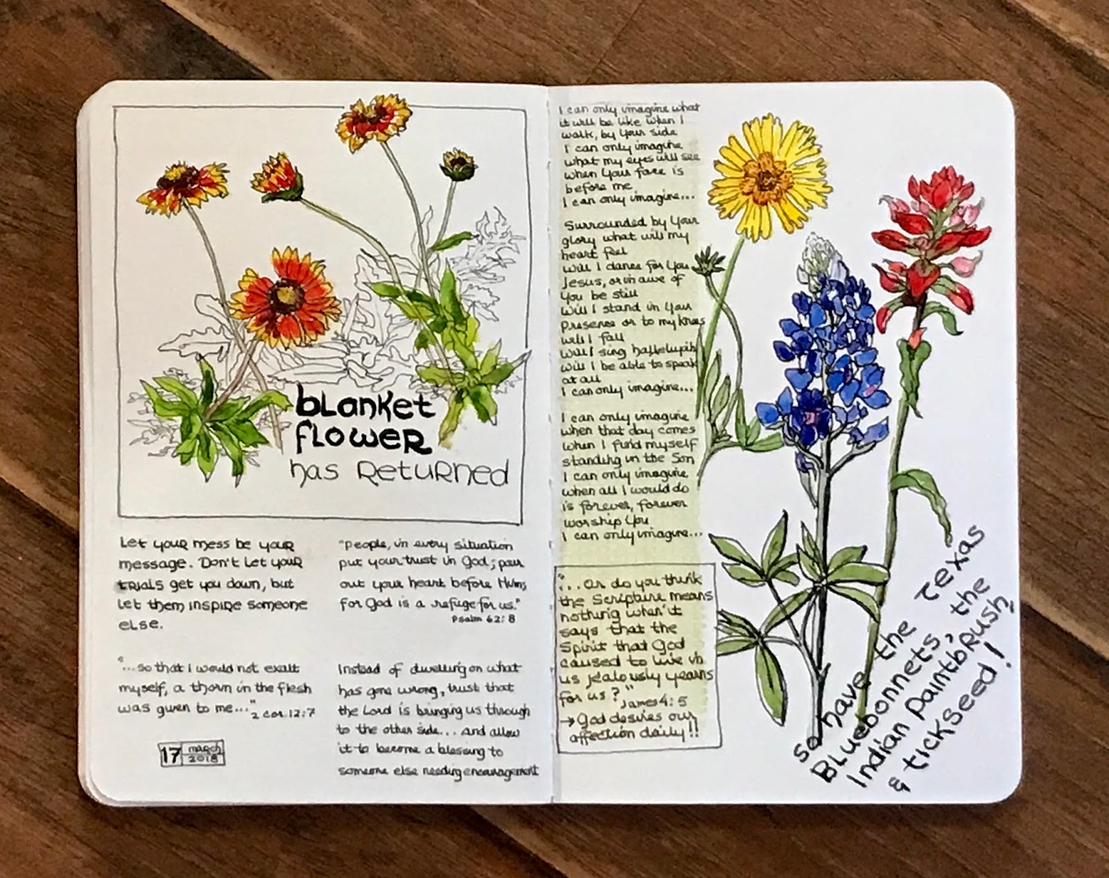 Artists' Journal Texas wildflowers