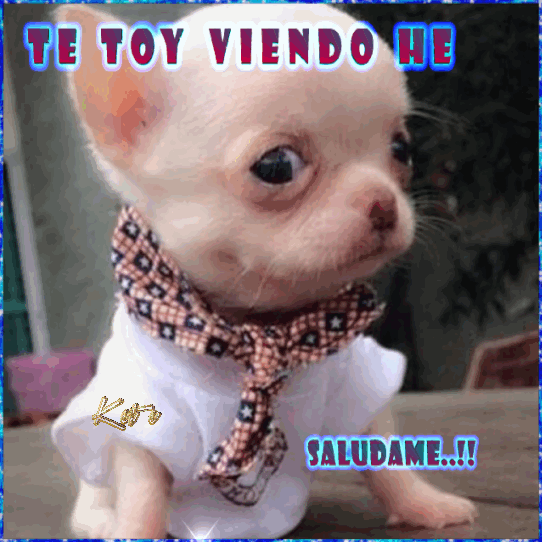 https://4.bp.blogspot.com/-1bk-tUapals/Vsk7MLd2alI/AAAAAAAA7us/zU-jfFWQCUU/s1600/gifsketeblog5.gif