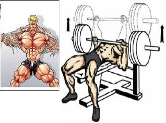 6 Top Technique Points To Increase Bench Press Weight Www