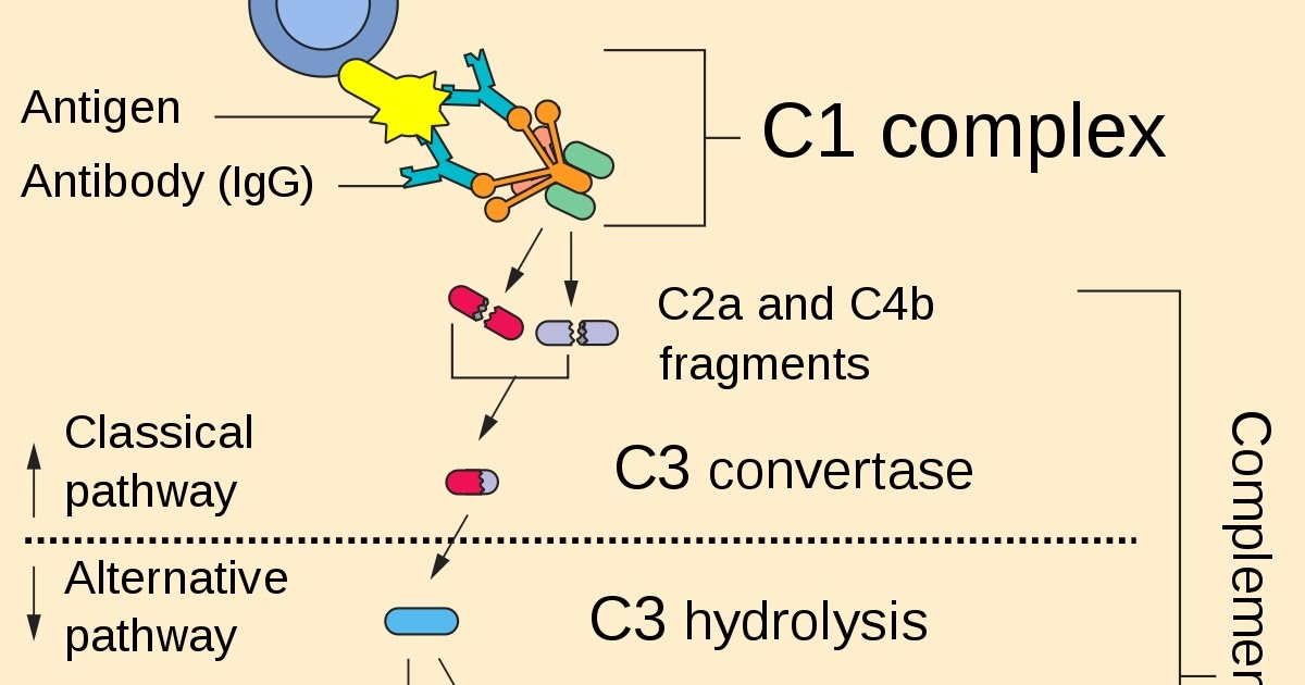 Two's Complement System
