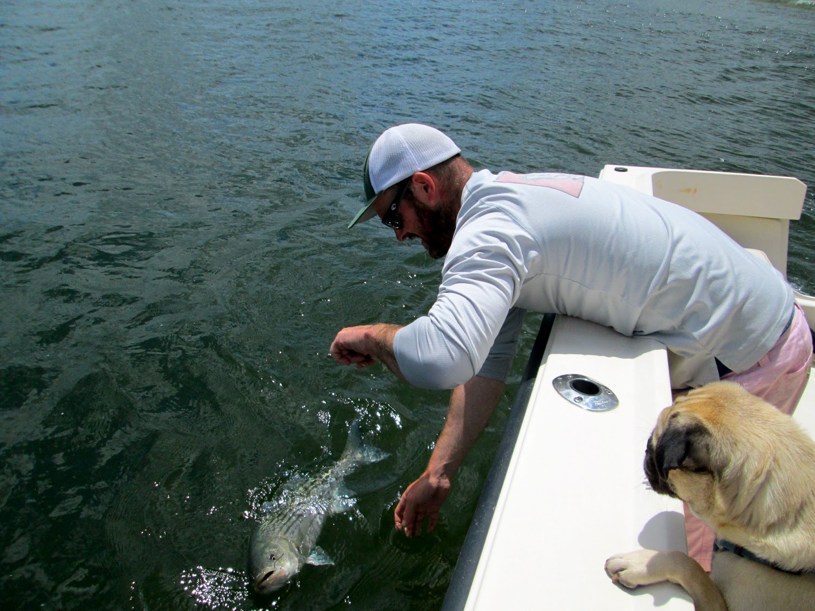 Boston Fly Fishing and Report Plum Island Striped Bass fishing with