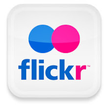 follow me flickr